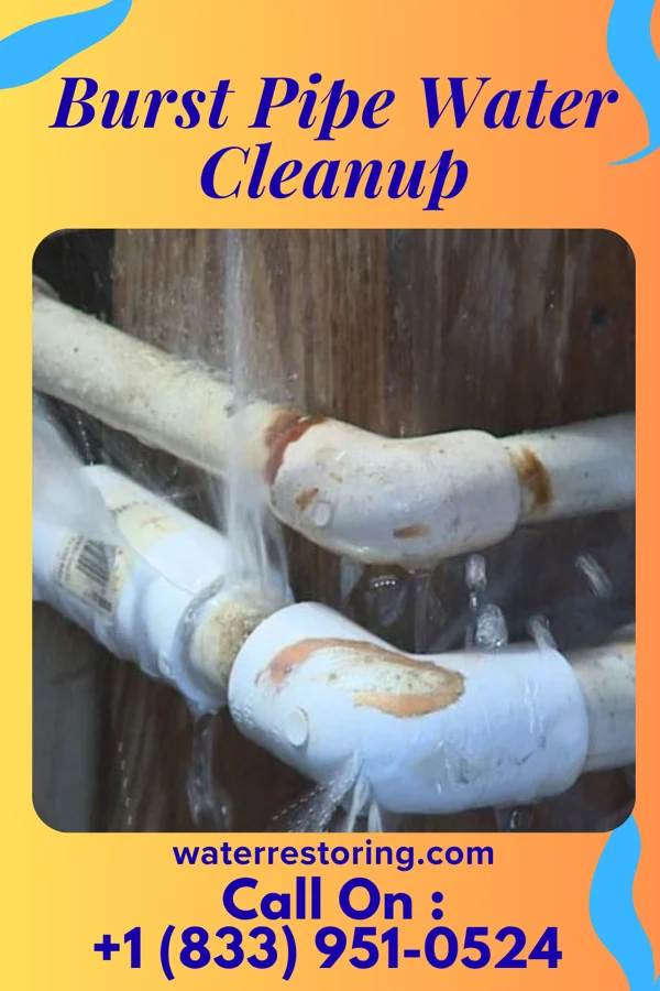 Burst Pipe Water Cleanup in Fife Heights, WA